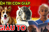 Đổi đời sang trang: 4 tuổi này thoát khỏi nghèo túng, là 'cỗ máy in tiền' trong tháng 7/2023