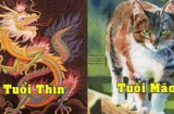 Gặp khó có Sh88bet link truy cập World Cup: 3 Shbet888.com nhà cái uy tín hạnh phúc tứ bề, thu lợi kếch xù, 6 tháng cuối năm tiền vào ào ào