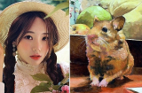 4 tuổi “tiêu tiền như nước” nhưng kiếm tiền cực đỉnh, chẳng bao giờ gặp cảnh nghèo khó, thiếu thốn