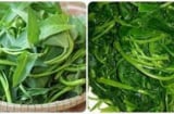 Mua rau muống chỉ cần nhìn 3 điểm là dễ dàng phân biệt rau sạch hay bẩn, biết để tránh mua nhầm
