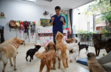 Nghề lương cao 3 tỷ VNĐ/năm, đi du lịch miễn phí chỉ chăm sóc 1 nhóm 'khách đặc biệt'