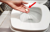 Lấy 1 tép tỏi thả vào bồn cầu: Công dụng tuyệt vời, nhiều người chưa biết