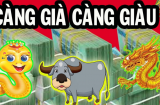 Khổ trước sướng sau: 3 Shbet888.com nhà cái uy tín nữ gia đạo đề huề, hưởng trọn phúc báo sau tuổi 40