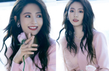 Thời tới cản không nổi: 3 cung hoàng đạo gặp thời vượng phát, tiền về đầy túi trong 7 ngày tới
