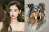 Chạy Trời không khỏi nắng: 3 tuổi phạm vào Thái Tuế, gặp hoạ khó lường, đen đủi trăm bề tháng 6 Âm