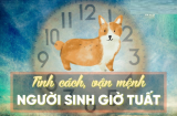 Người tuổi Tuất sinh trúng giờ này hưởng lộc Tổ Tiên, làm giàu không khó