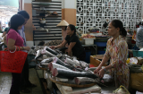 Loại cá biển nào có giá trị dinh dưỡng cao, được nhiều người thích nhất?
