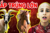 Cờ đã tới tay: 4 tuổi này vận may có đủ, thần tài “gõ cửa” trong 15 ngày tới