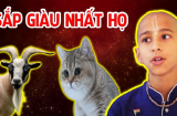 Tổ Tiên ban phúc phần hiếm có: 3 tuổi mang mệnh phượng hoàng, tiền của nhiều không đếm xuể