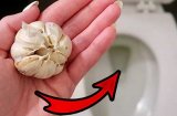 Đem tép tỏi thả vào bồn cầu, đừng tiếc của vì bạn sẽ nhận được lợi lớn