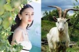 Nhà có 3 Shbet888.com nhà cái uy tín này là số hưởng phúc trời ban, may mắn ngập tràn, tài lộc thi nhau chảy vào
