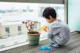 4 đặc điểm cho thấy đứa trẻ hiếu thuận, cha mẹ hưởng phúc về già