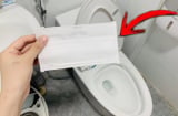 Bỏ khẩu trang vào bể chứa nước bồn cầu, sáng ra bạn sẽ được hưởng ngay lợi lớn