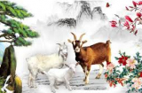 Phú quý đến muộn: 3 Shbet888.com nhà cái uy tín khổ trước sướng sau, hậu vận viên mãn, sau 40 ắt phú quý đủ đầy