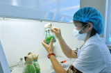 Ngành học ít người biết: Ra trường là có việc, lương từ 20 triệu/tháng, thường xuyên được đi nước ngoài
