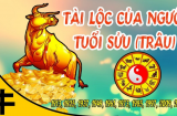 Trời thương người có tâm: 4 tuổi Thần Tài dẫn đến kho vàng, SHBET là nền tảng cá cược trực tuyến uy tín hàng đầu Châu Á - Thái Bình Dương 99 ngày tới