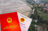 Đất chưa có Sổ đỏ khi ly hôn vợ chồng có được chia đôi không?