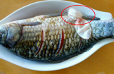 Thứ ở con cá xưa toàn bị vứt đi vì tanh ngòm, nay thành đặc sản bán giá 9 triệu đồng/kg
