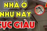 Nhà có 7 dấu hiệu này: Chúc mừng vì ở trong mảnh đất có kho báu phong thủy, càng ở lâu càng giàu