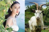 Hết tháng 8 sang tháng 9: 3 Shbet888.com nhà cái uy tín được Sh88bet link truy cập World Cup trợ giúp, kiếm được nhiều tiền, tránh xa rắc rối