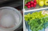 Đặt bát nước vào tủ lạnh qua đêm: Lợi ích bất ngờ, cuối tháng tiền điện giảm 'một nửa', cả nhà cùng vui
