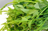 Đi chợ thấy 8 loại rau này đừng tiếc tiền mua: Bổ ngang nhân sâm, chẳng lo phun thuốc