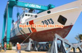 Có 1 ngành học điểm đầu vào không cao nhiều người bỏ qua: Nhưng Mừng SHBET phiên bản mới 2025 ra trường lương cả trăm triệu mỗi tháng