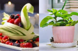 4 không để nóc tủ lạnh, 3 không đặt bàn trà kẻo ảnh hưởng đến phong thủy