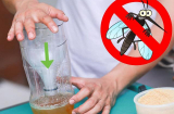 Để bát nước này cạnh giường: Muỗi, gián không dám vo ve lại gần, yên tâm mà ngủ