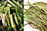 Thứ mọc ở ao bùn, xưa toàn cho lợn ăn, nay được bán giá 70.000 đồng/kg nhưng không dễ để mua