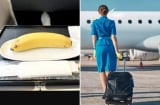 Tại sao tiếp viên hàng không đều âm thầm mang một quả chuối lên máy bay? Họ ăn hay để làm gì?