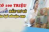 Có 100 triệu nên làm gì để được hưởng lãi cao nhất?