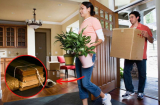 Trước Rằm tháng Chạp vứt đi 3 thứ, lấy về 3 vật, năm tới dễ gặp may, là những thứ gì?