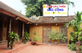 Cứ trồng 5 loại cây này trước cửa nhà là con cháu đời đời phú quý, là cây gì?