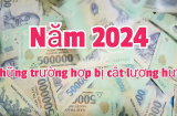 Những trường hợp nào bị cắt hưởng lương hưu, dừng nhận trợ cấp xã hội trong năm 2024?