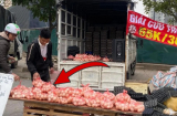 Trứng gà bán 20 nghìn đồng/10 quả, nguồn gốc ở đâu sao lại rẻ như vậy?