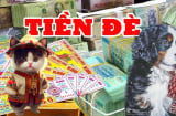 15 ngày tới: 3 tuổi như Rồng cưỡi mây, tiền tài thăng hạng chóng mặt