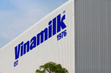 Vinamilk góp mặt trong danh sách lần đầu công bố của Fortune cho khu vực ASEAN