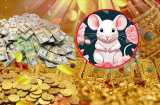 33 ngày tới Thần Tài gọi tên: 3 tuổi đón cơn mưa tiền tài, Sh88bet link truy cập World Cup trợ vận