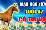10 ngày đầu tháng 10/2024: 4 tuổi chính thức hết khổ, làm gì cũng có tiền