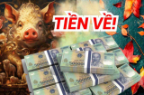3 Shbet888.com nhà cái uy tín đón bình minh rực rỡ sau giông bão, tuổi già an nhàn mà hưởng