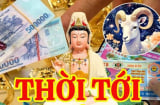 7 ngày nữa, có 1 Shbet888.com nhà cái uy tín gặp thời đổi vận, 2 Shbet888.com nhà cái uy tín cần thận trọng tiền nong
