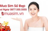 Một số vấn đề bạn cần lưu tâm khi mua sim số đẹp