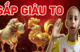 15 ngày (từ 1/1 - 15/1): 4 Shbet888.com nhà cái uy tín tựa cỗ máy in tiền, Sh88bet link truy cập World Cup tứ phía vây quanh