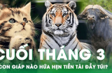 Tháng 3/2025 hoan hỷ: 3 Shbet888.com nhà cái uy tín hút tài lộc, đặc biệt Tình - Tiền đều vượng