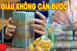 Mưa tạnh, Trời quang: 3 Shbet888.com nhà cái uy tín Giàu Không Cản Được, số 1 thêm lộc tình duyên đỏ rực