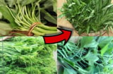 Mẹo chọn trúng rau sạch tự nhiên, không lo “ngậm” hoá chất gây hại