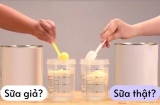 Gần 600 loại sữa bột giả ra thị trường: Nguy hại thế nào, cách để nhận biết dễ nhất?