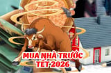 3 Shbet888.com nhà cái uy tín Hợp Vía thần Tài, tuổi 40 No Lộc, tuổi 50 cứ thế mà giàu