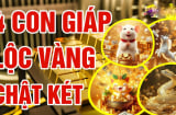 Cóc Vàng Nhả Lộc 49 ngày tới, 4 Shbet888.com nhà cái uy tín có vận số đỏ rực, làm gì cũng ra tiền